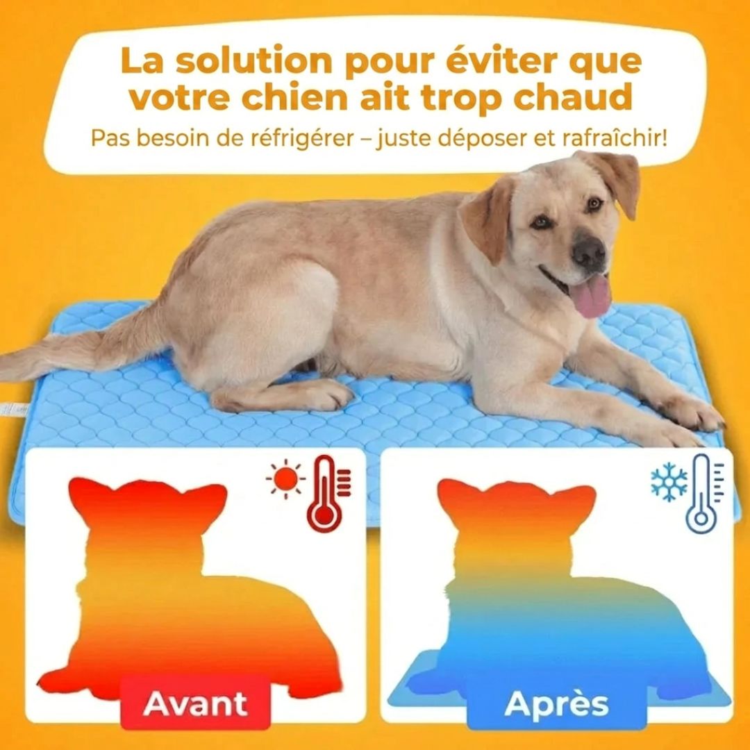 CoolPat™ – Tapis Rafraîchissant Premium pour Chien & Chat