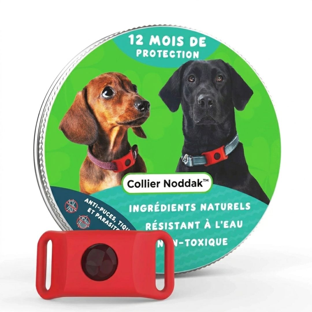Collier Malin Québec Anti-Puces & Tiques 12 Mois