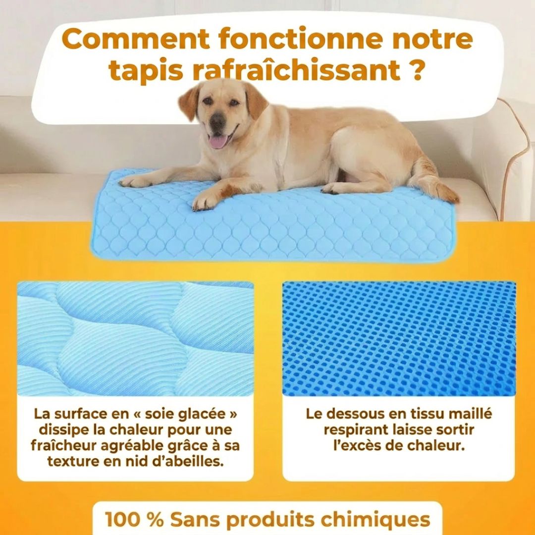 CoolPat™ – Tapis Rafraîchissant Premium pour Chien & Chat