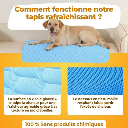 CoolPat™ – Tapis Rafraîchissant Premium pour Chien & Chat