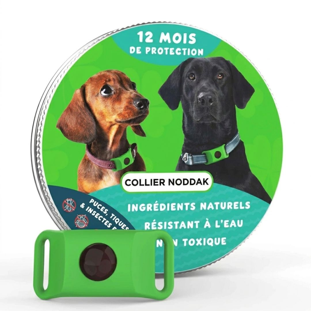 Collier Malin Québec Anti-Puces & Tiques 12 Mois