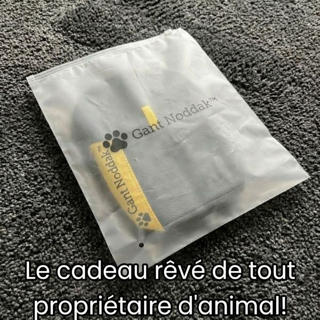 Gant Malin Québec Nettoyant Anti-Poils Réutilisable