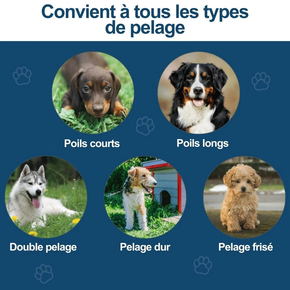 Brosse Miracle pour Animaux – Démêle et Prend Soin du Pelage