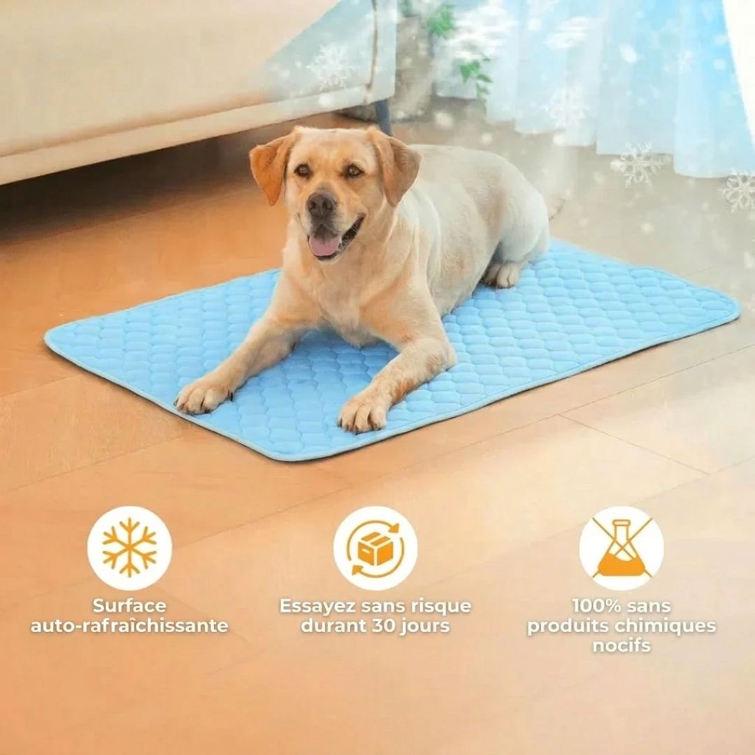 CoolPat™ – Tapis Rafraîchissant Premium pour Chien & Chat