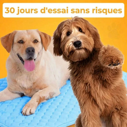CoolPat™ – Tapis Rafraîchissant Premium pour Chien & Chat