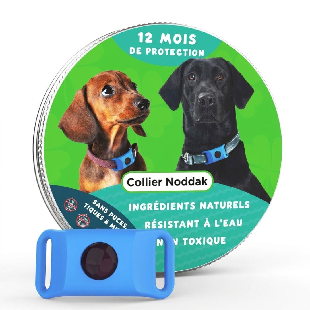 Collier Malin Québec Anti-Puces & Tiques 12 Mois