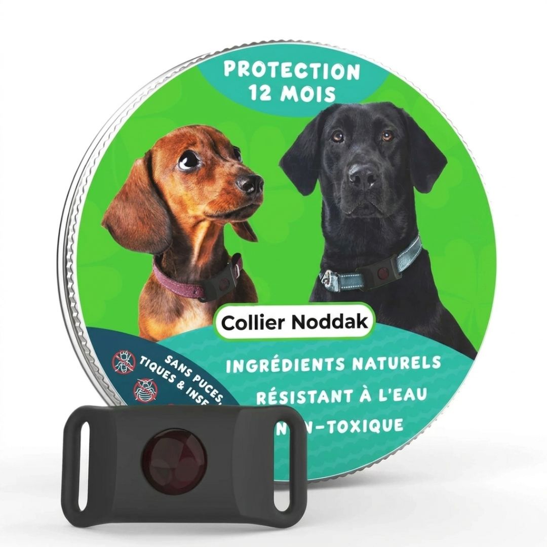 Collier Malin Québec Anti-Puces & Tiques 12 Mois