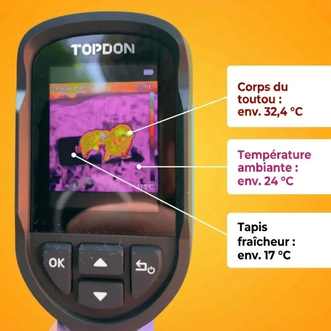 CoolPat™ – Tapis Rafraîchissant Premium pour Chien & Chat