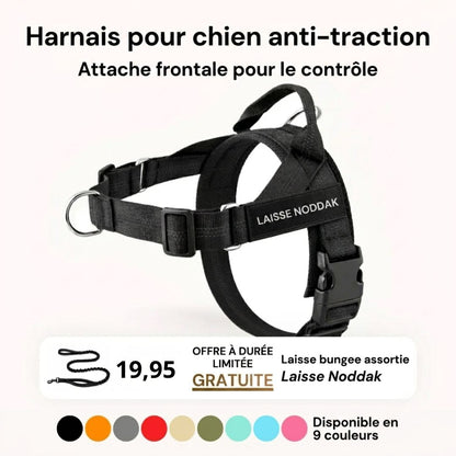 Harnais Malin Québec Anti-traction