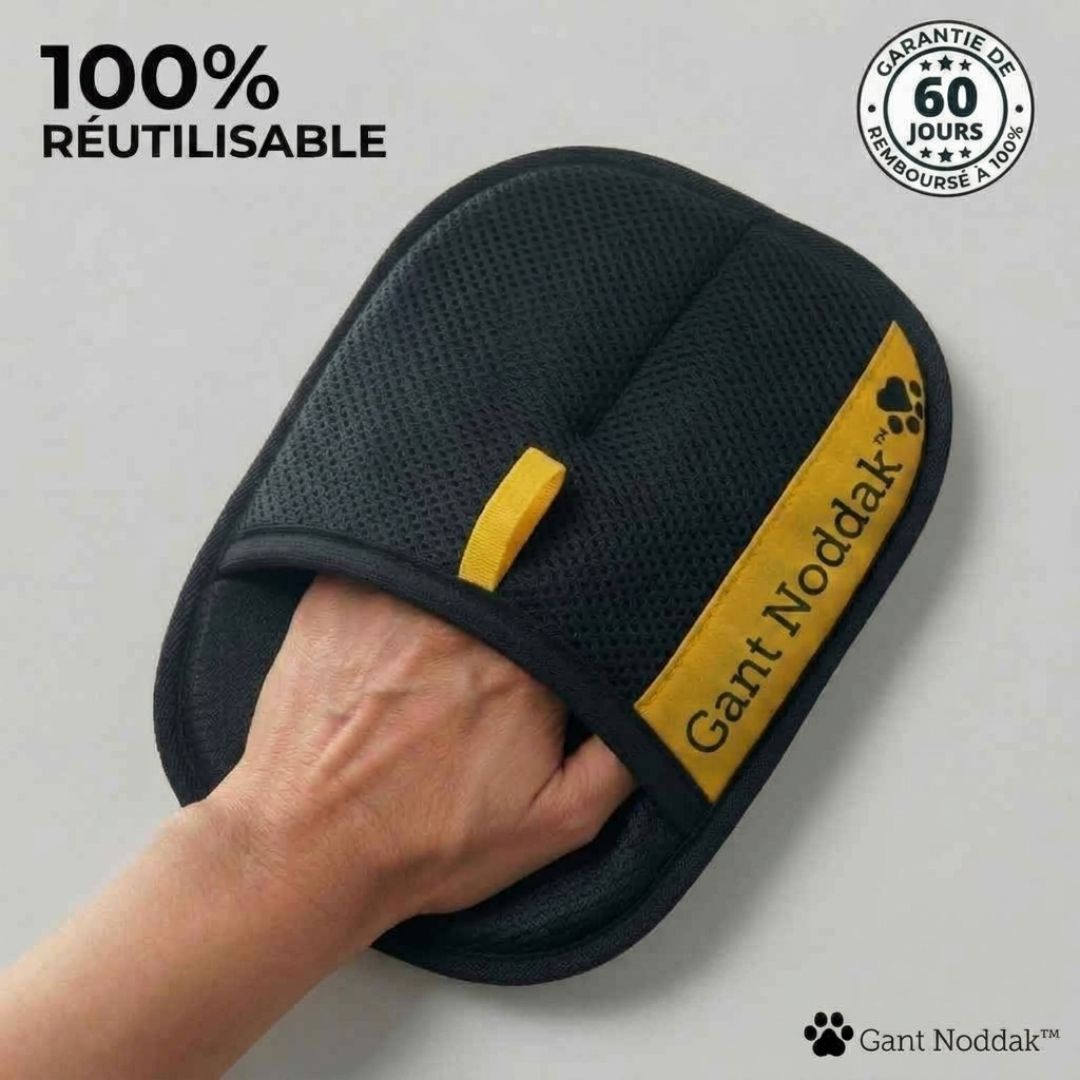 Gant Malin Québec Nettoyant Anti-Poils Réutilisable